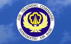img_emb_atc.jpg