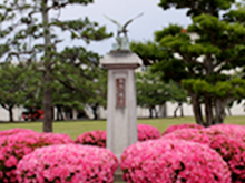 明野写真館