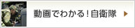 動画でわかる！自衛隊