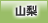 山梨地方協力本部