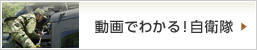 動画でわかる!自衛隊