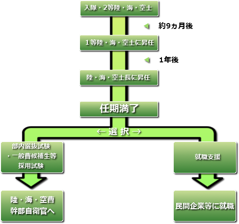 任期制について