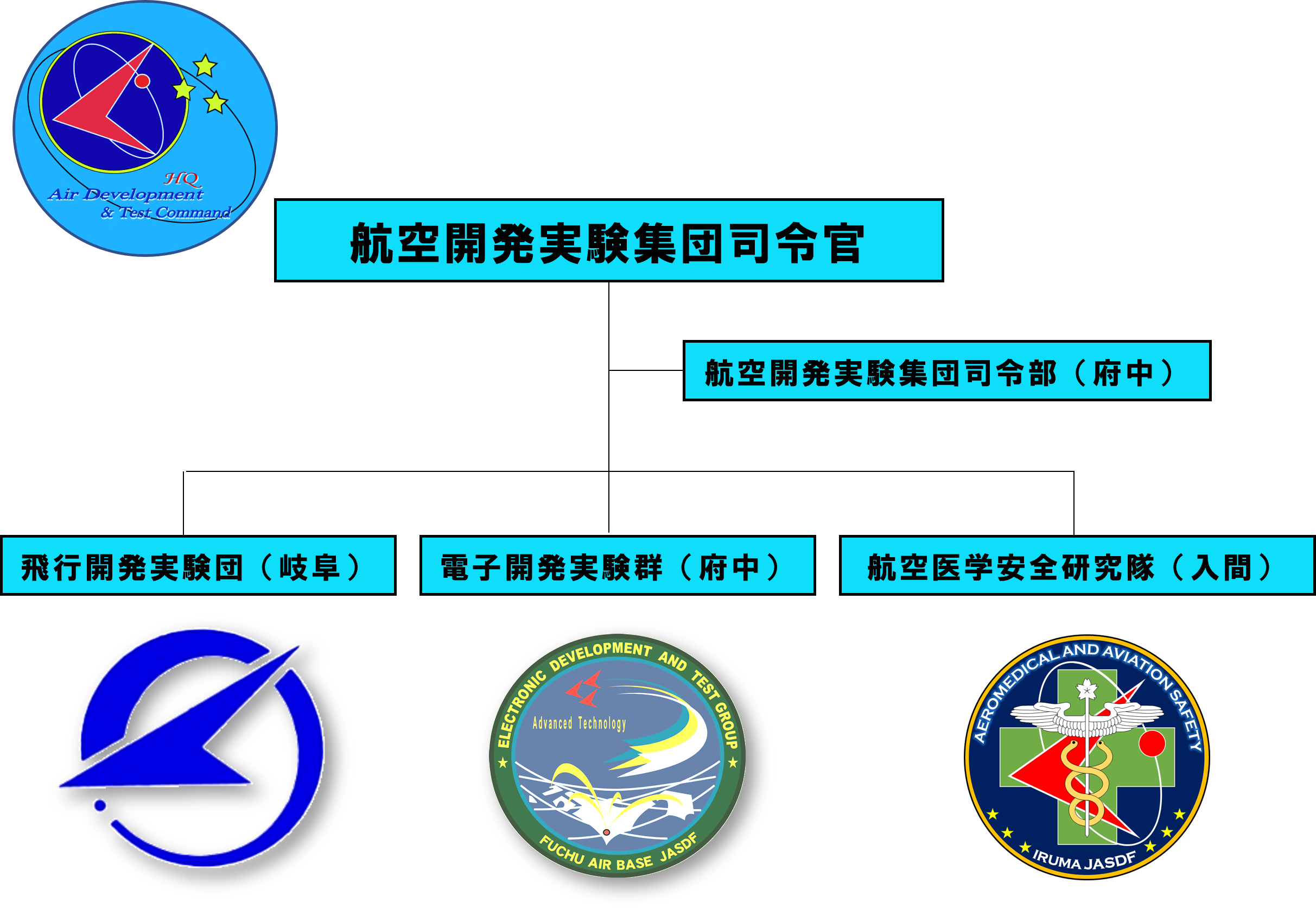 航空開発実験集団の組織
