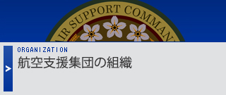 航空支援集団の組織