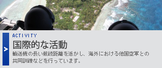 国際的な活動