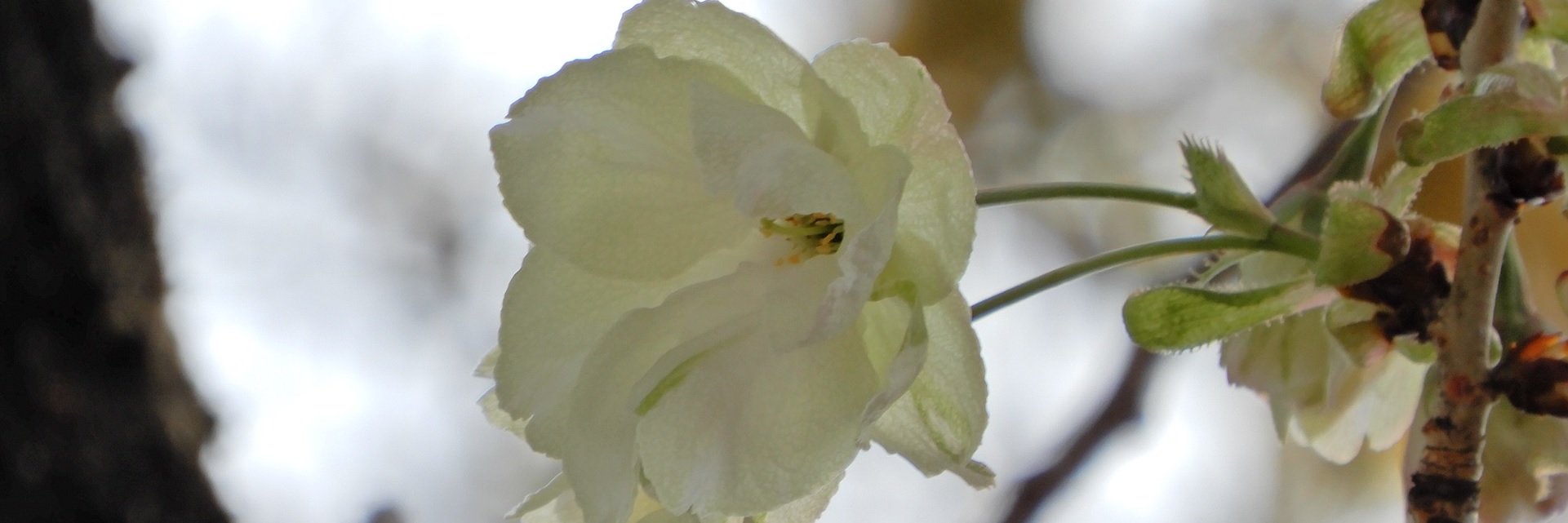 航空安全管理隊｜防衛省 [JASDF] 航空自衛隊