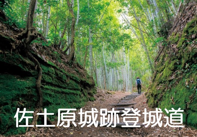 佐土原城跡登城道