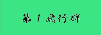 ddaiichihikougunn