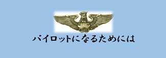 pilotninarutameniha