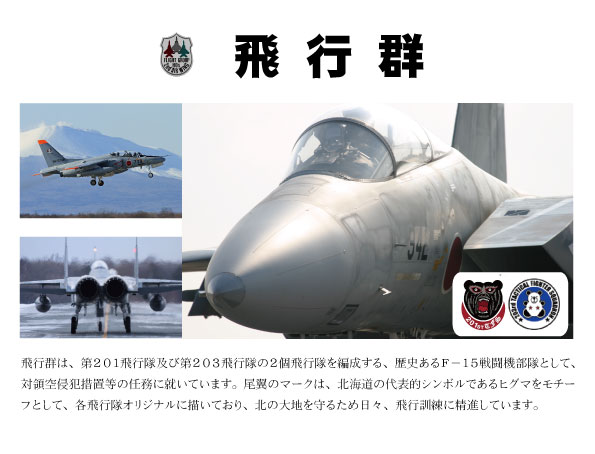 航空自衛隊（JASDF）第2航空団　司令官チャレンジ 千歳基地｜防衛省 [JASDF] 航空自衛隊