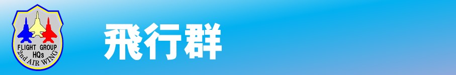 飛行群