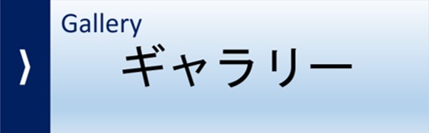 ギャラリー