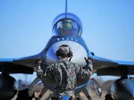 JASDAF 航空自衛隊 百里基地 名刺ケース 木製 JASDF]航空自衛隊 第301飛行隊(旧デザインver8)(百里基地