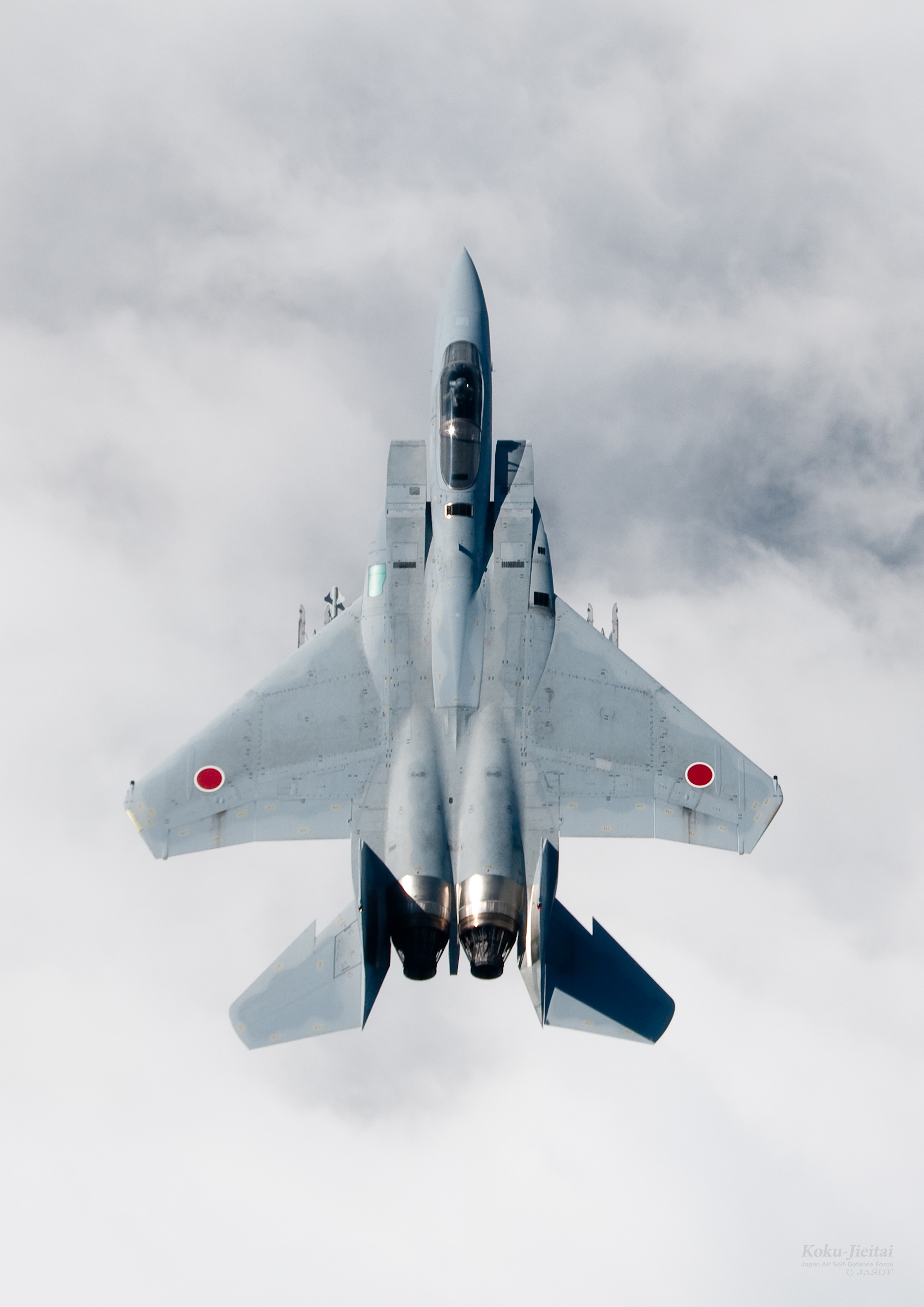 木製飛行機 (戦闘機F-15J)