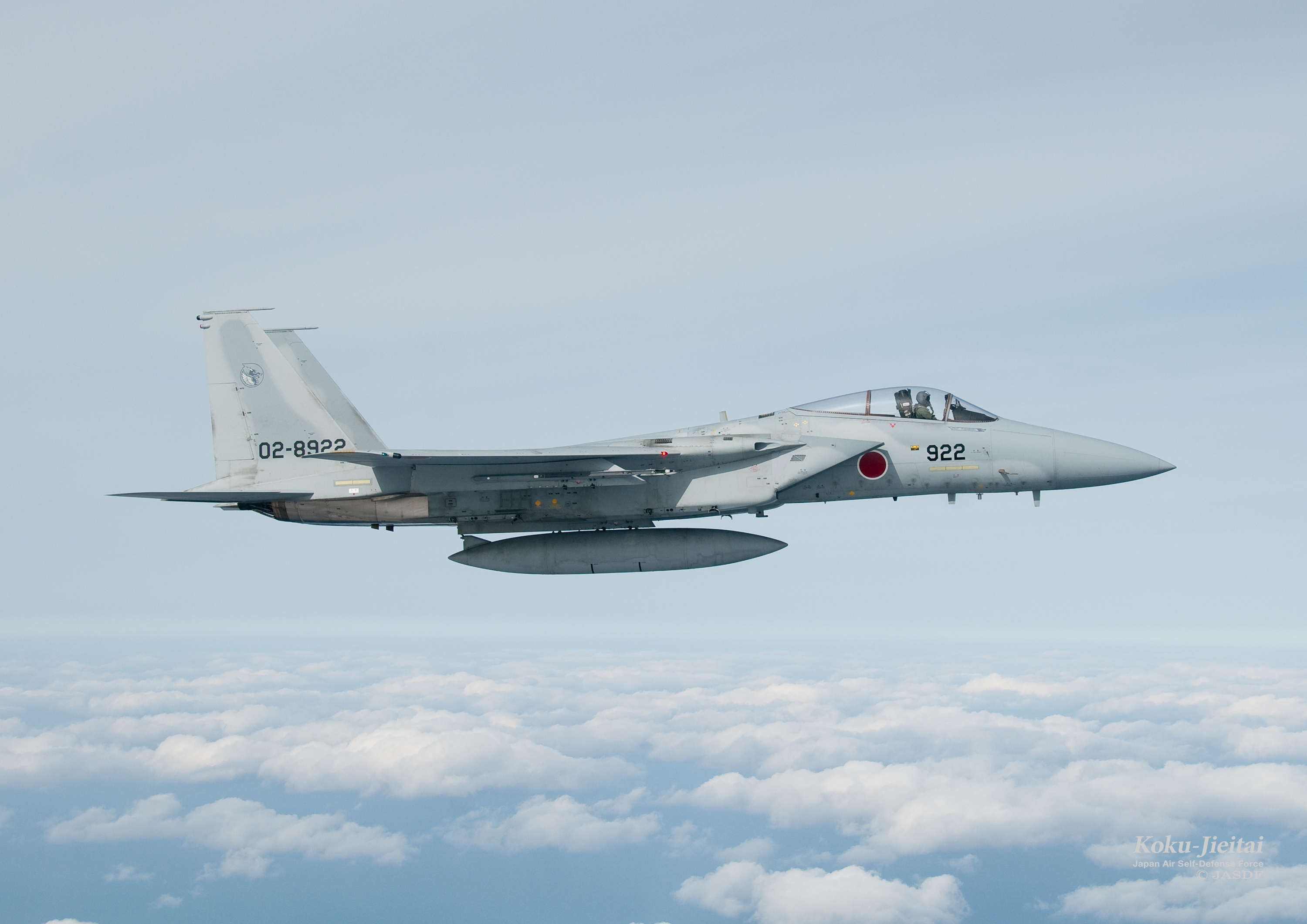 希少デッド航空自衛隊JASDF とらえ F15Jイーグルコックピット