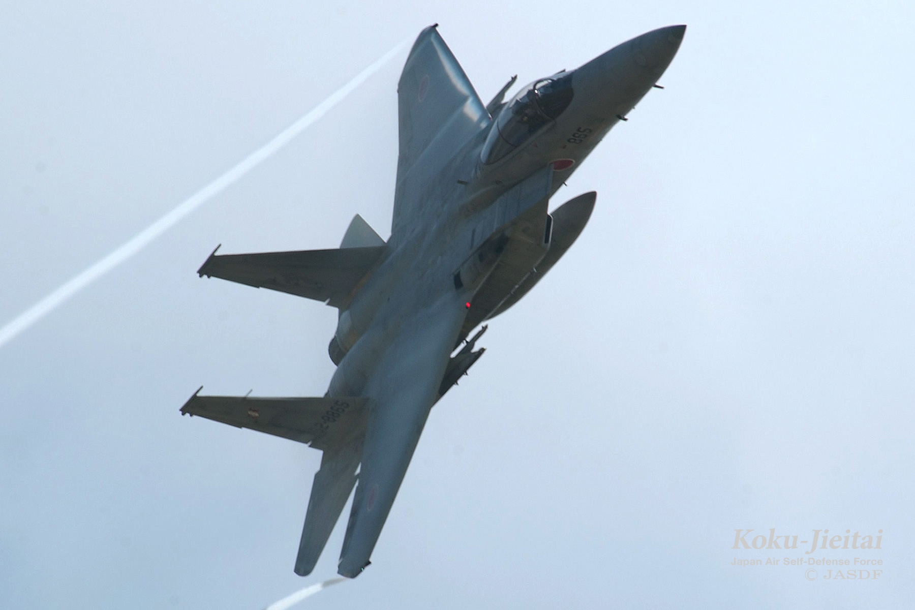 Amazon.co.jp: 木製飛行機 戦闘機F-15J : Toys & Games