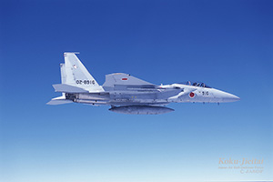 航空自衛隊 主力戦闘機 F-15J イーグル近代化改修機 形態I型/II