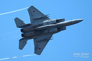 F15 F1戦闘機の音　CD hqdefault.jpg
