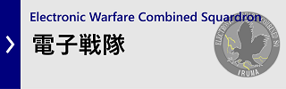 電子戦隊