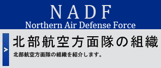 北部航空方面隊の組織