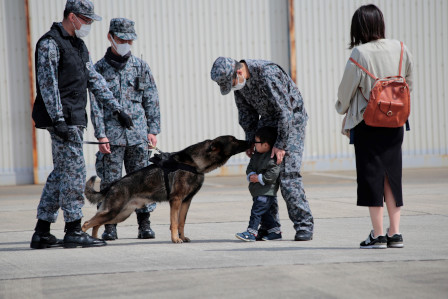 警備犬からご挨拶（ちょっと怖かったかな）