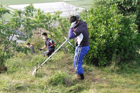 植樹した木々の間も丁寧に（さて、中に入って刈ろうかな）