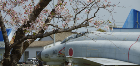 ウィークエンド新田原with桜