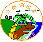 奄美大島分屯基地