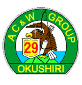 p29 Emblem