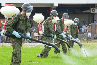 International Disaster Relief Operations in the Philippines(11)