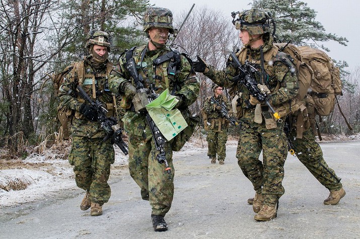 Japan-U.S. Bilateral Training, Forest Light 02