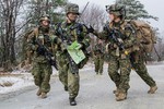 Japan-U.S. Bilateral Training, Forest Light 02