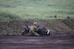 Fuji Firepower Exercise 2019
