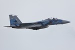 F-15J/DJ Fighter