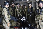 JSDF Joint Exercise (01JX)