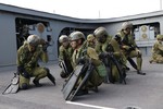 JSDF Joint Exercise (01JX)