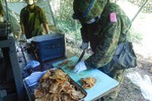 Field Feeding of the JGSDF