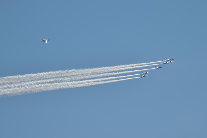 Salute Flyover by JASDF Blue Impulse