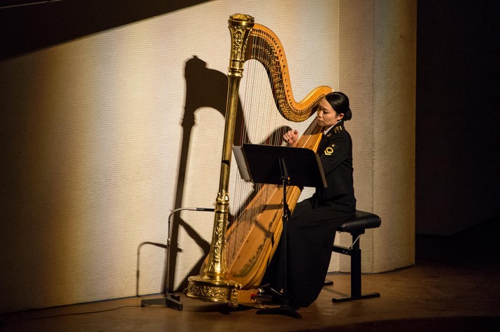 SDF Joint Concerts for Juveniles