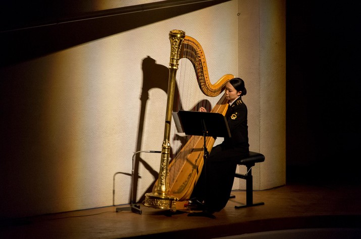 SDF Joint Concerts for Juveniles