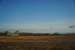 Japan-U.S. Bilateral Exercise “Forest Light“