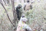 Japan-U.S. Bilateral Exercise “Forest Light“