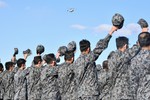 JASDF Air Review 2020