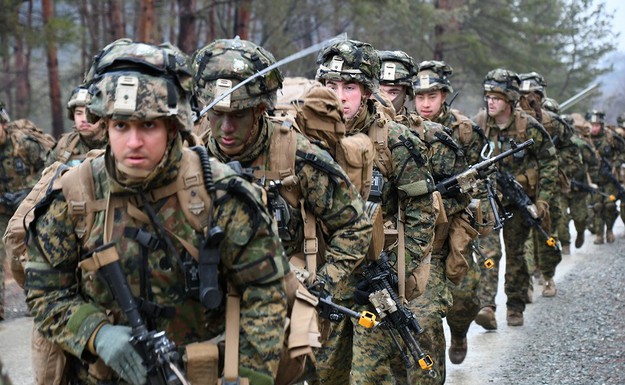 Japan-U.S. Bilateral Training, Forest Light 02
