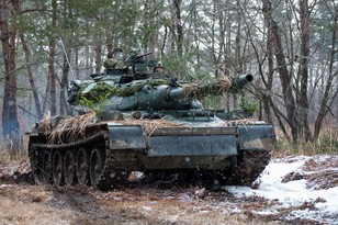 Japan-U.S. Bilateral Training, Forest Light 02