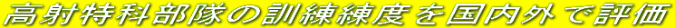 ���˓��ȕ����̌P�����x�������O�ŕ]��