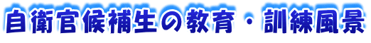 ���q����␶�̋���E�P�����i