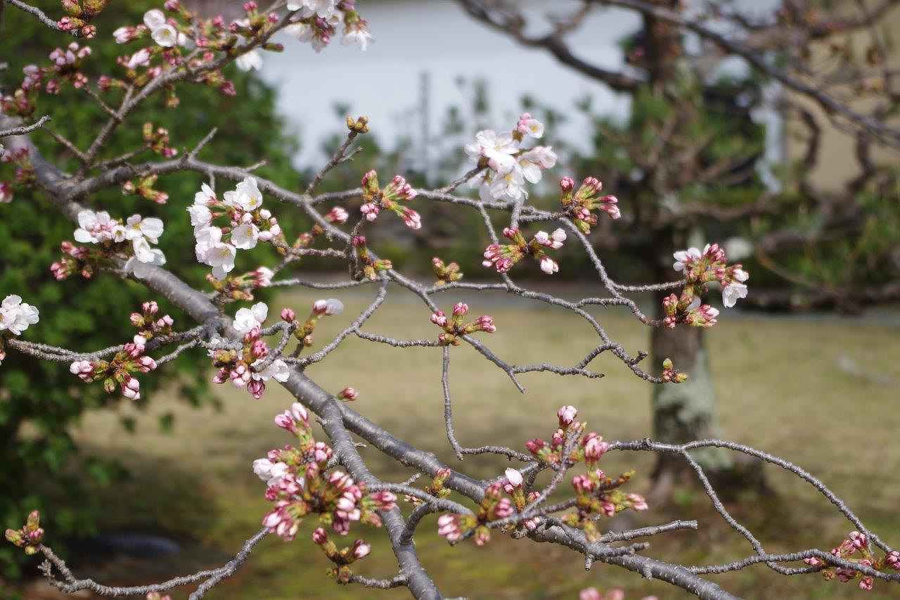着隊01