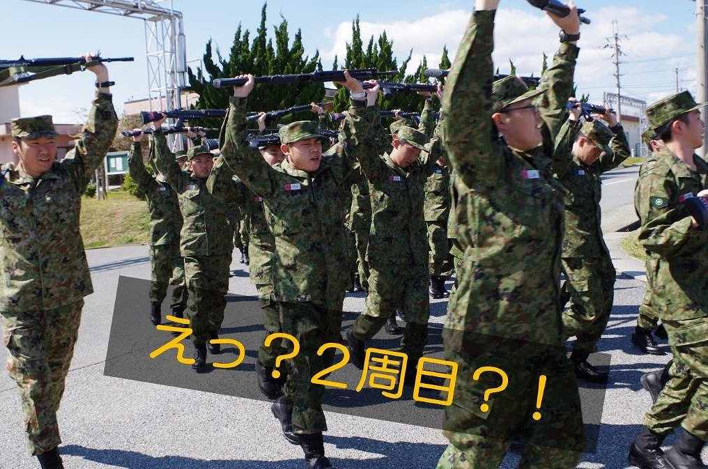 ハイポート25