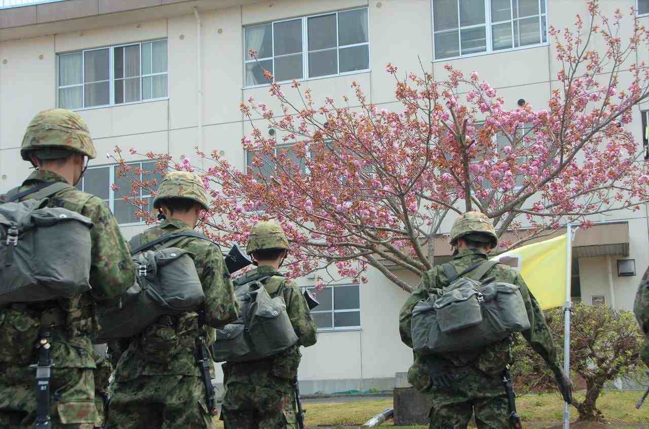 集合13
